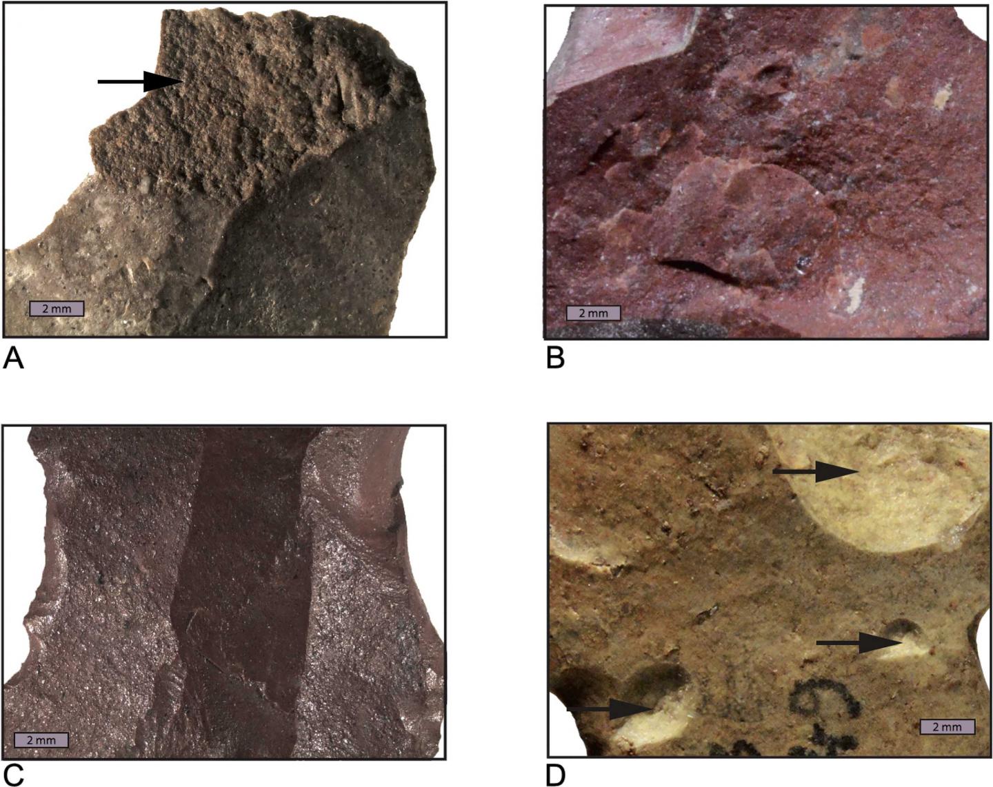 Stone Age Humans Heat-treated Stone Tools