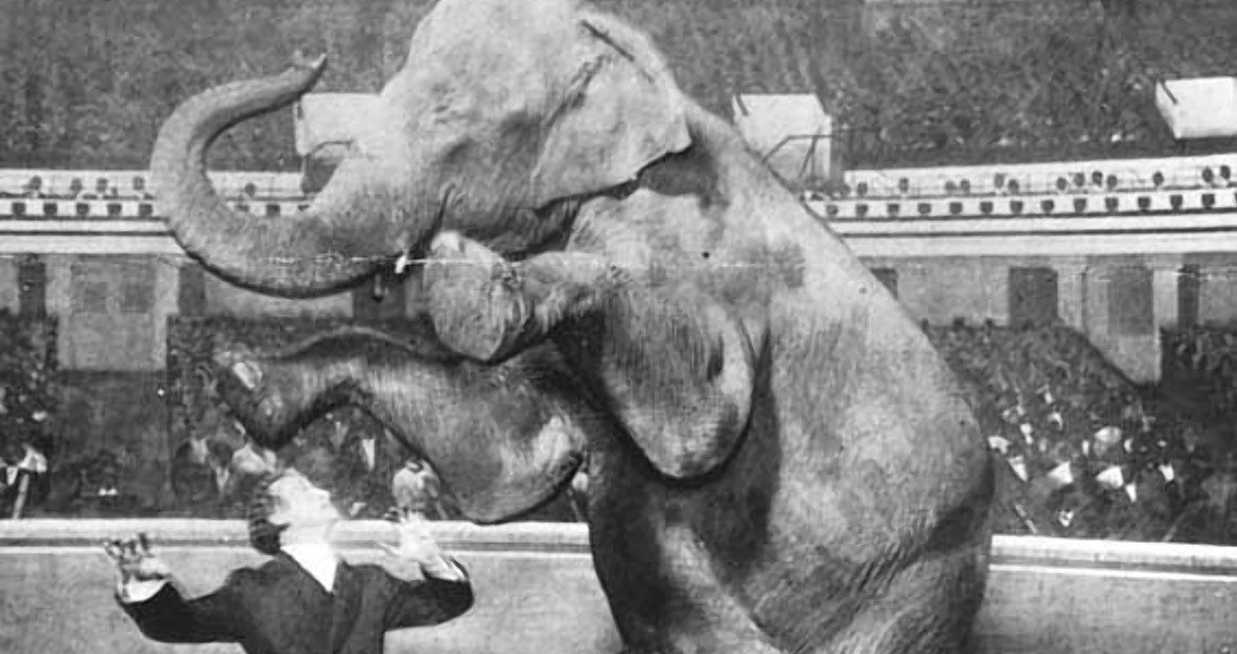 houdini-and-elephant-2