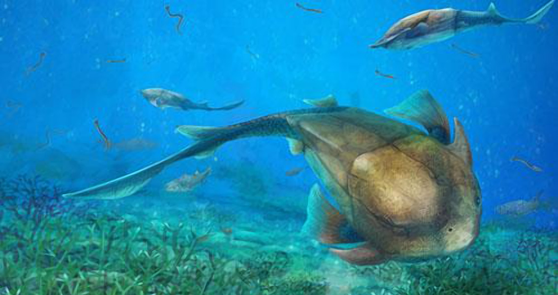 Chinese Fossilized Fish Sheds New Light on Jaw Evolution