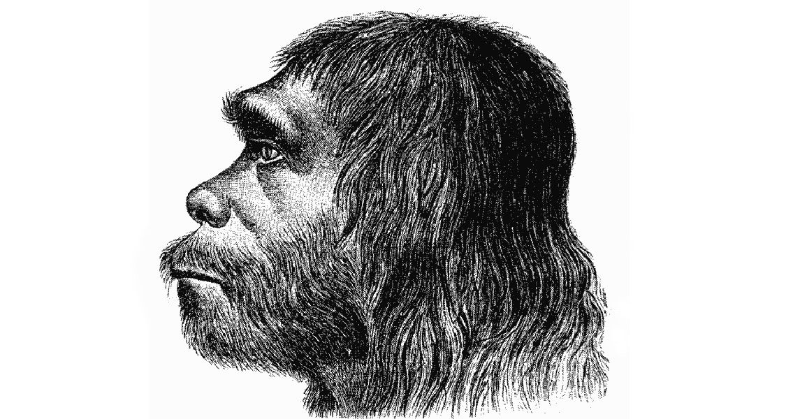 Sex With Neanderthals Still Benefiting Humans