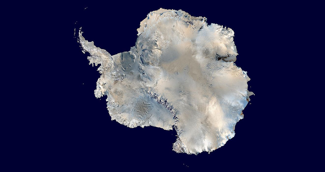 New Research Reveals Existence of Ancient Antarctic Beetles