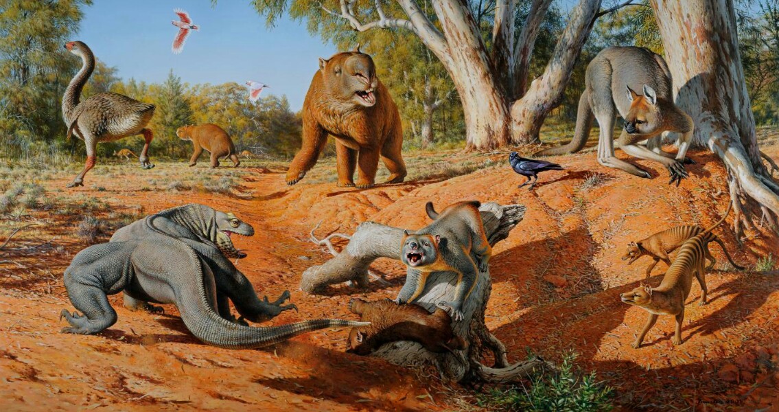 australian-megafauna