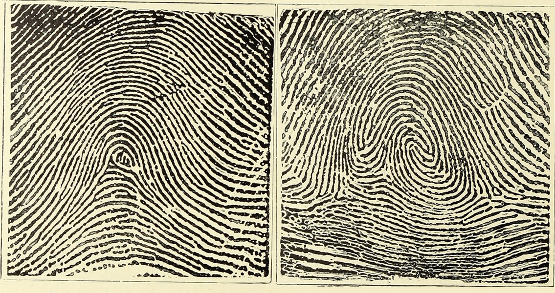 classification-and-uses-of-finger-prints-1