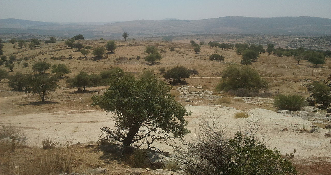 5th Century Synagogue Discovered Under 12th Century Building