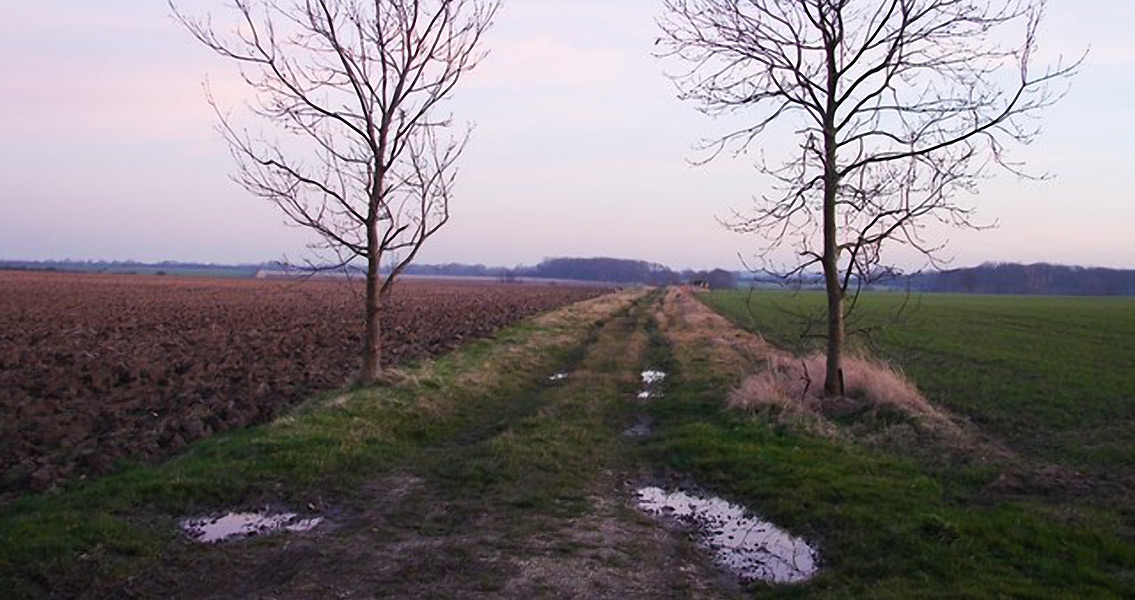 Unusual Burial Discovered at the Settlement that Doesn’t Exist