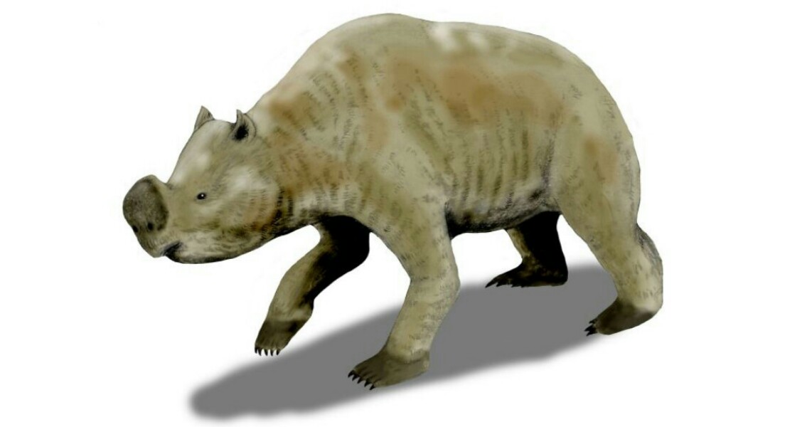 Zygomaturus