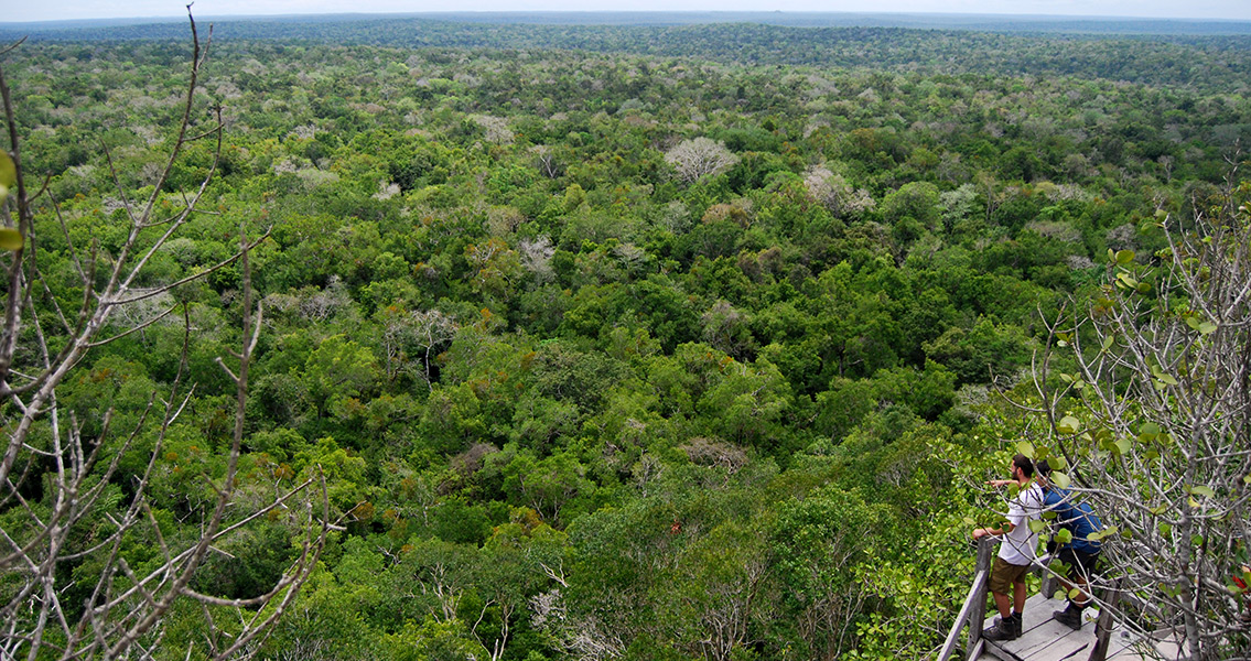 Maya 'Superhighways' Revealed by LiDAR