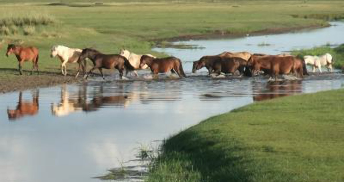 Early Chinese Culture Altered by Shifting Monsoons