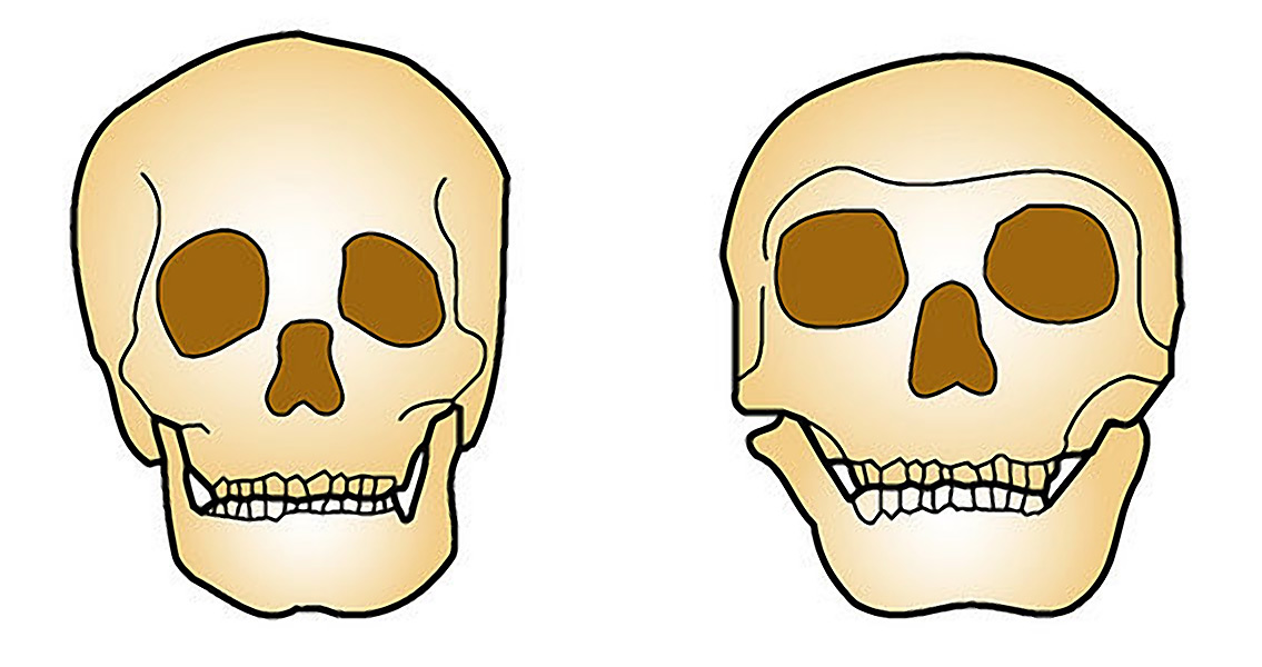 Neanderthals and Humans – What Are the Differences?