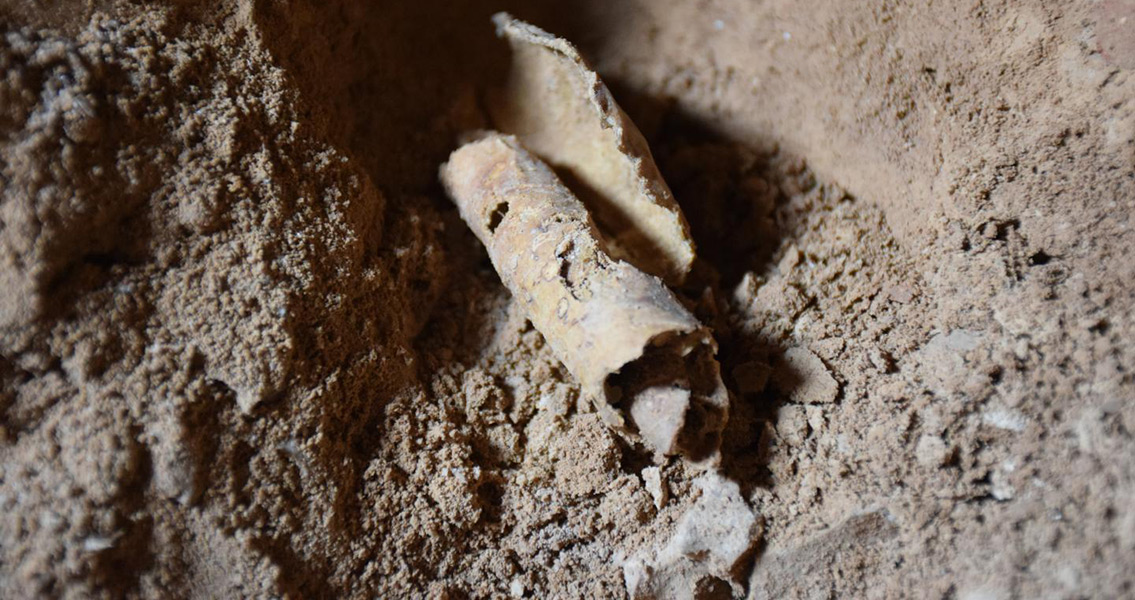 parchment found in a jug