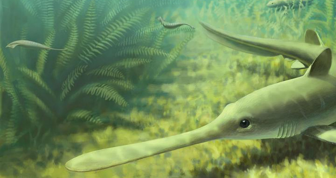 Tully Monster Mystery Far From Solved