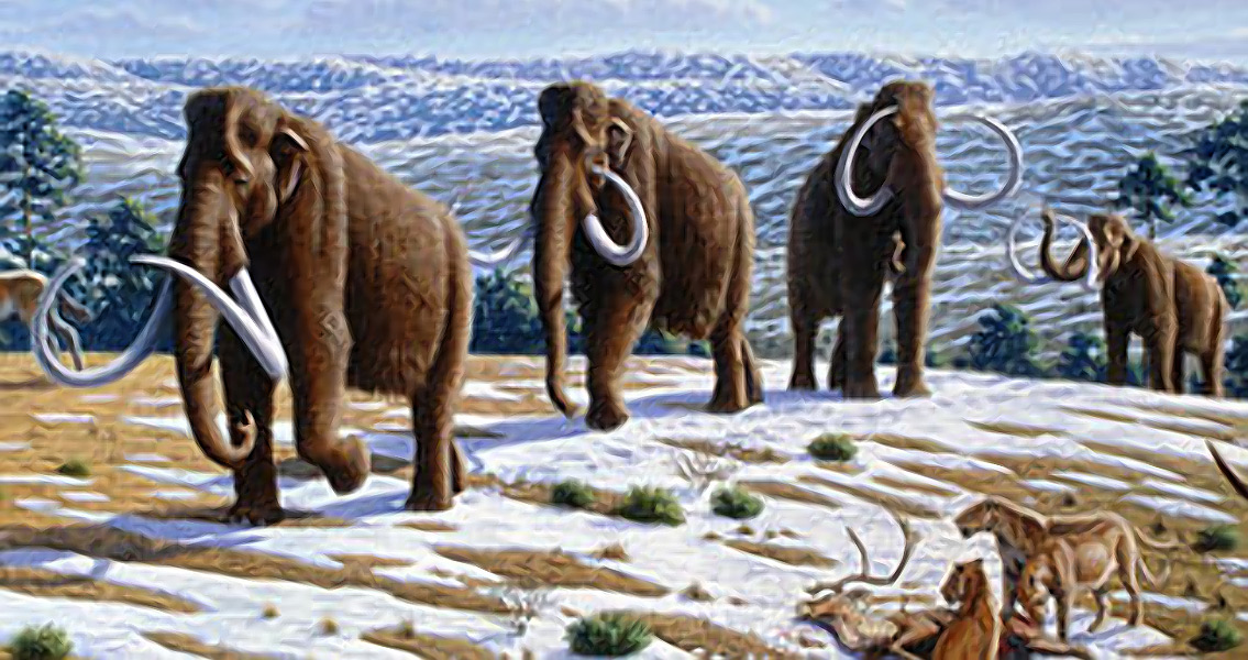 Scientists Making Progress in Creation of Woolly Mammoth Hybrid Embryo
