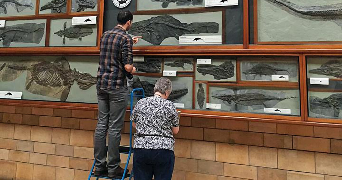 dean-lomax-and-judy-massare-examining-ichythyosaurs-at-london-natoinal-history-museum