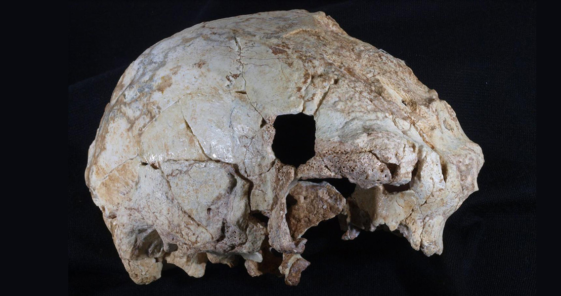 Rare 400,000 Year Old Skull Discovered in Portuguese Cave