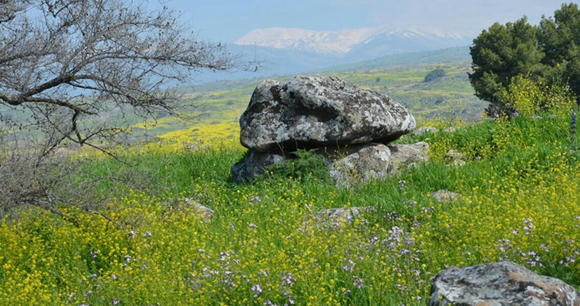 Unusual 4,000 Year Old Dolmen Discovered in Galilee