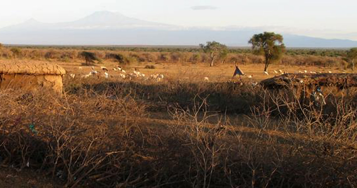 temporary-maasai-homestead-1