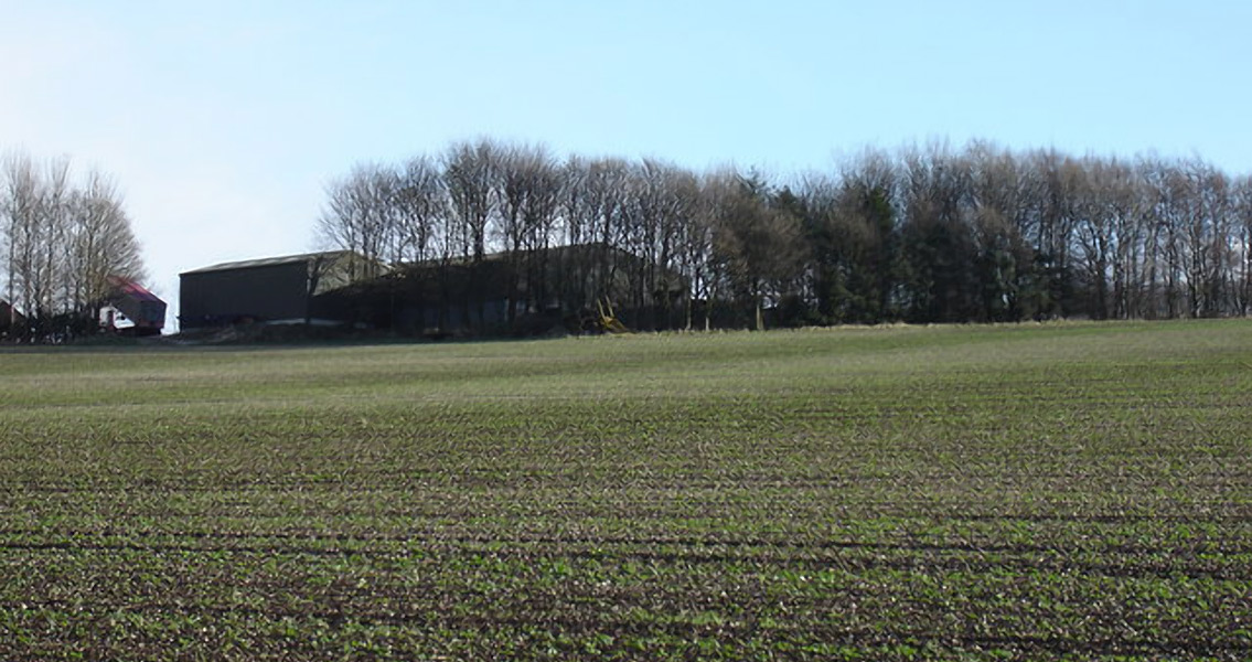 Iron Age Remains and Chariot Found in East Yorkshire