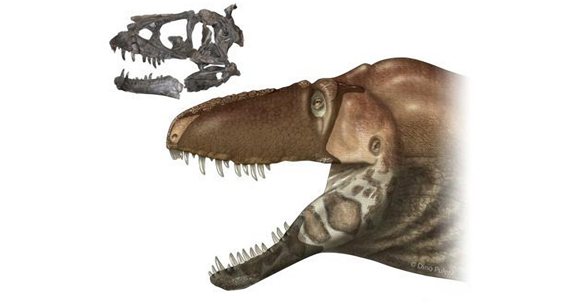 New Tyrannosaur Discovered With a Scaly Face and Sensitive Nose