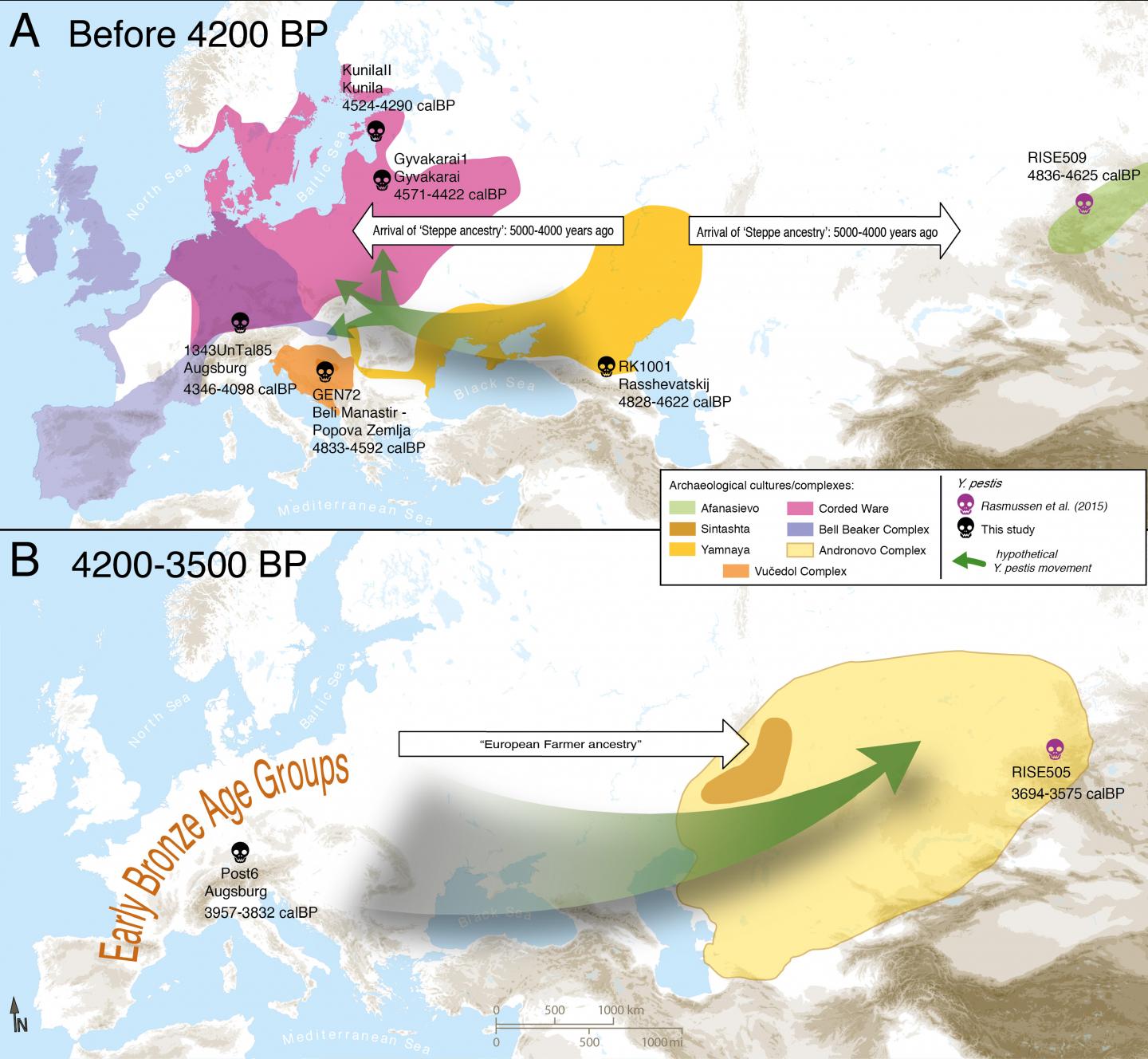 Map of proposed Yersinia pestis circulation throughout Asia