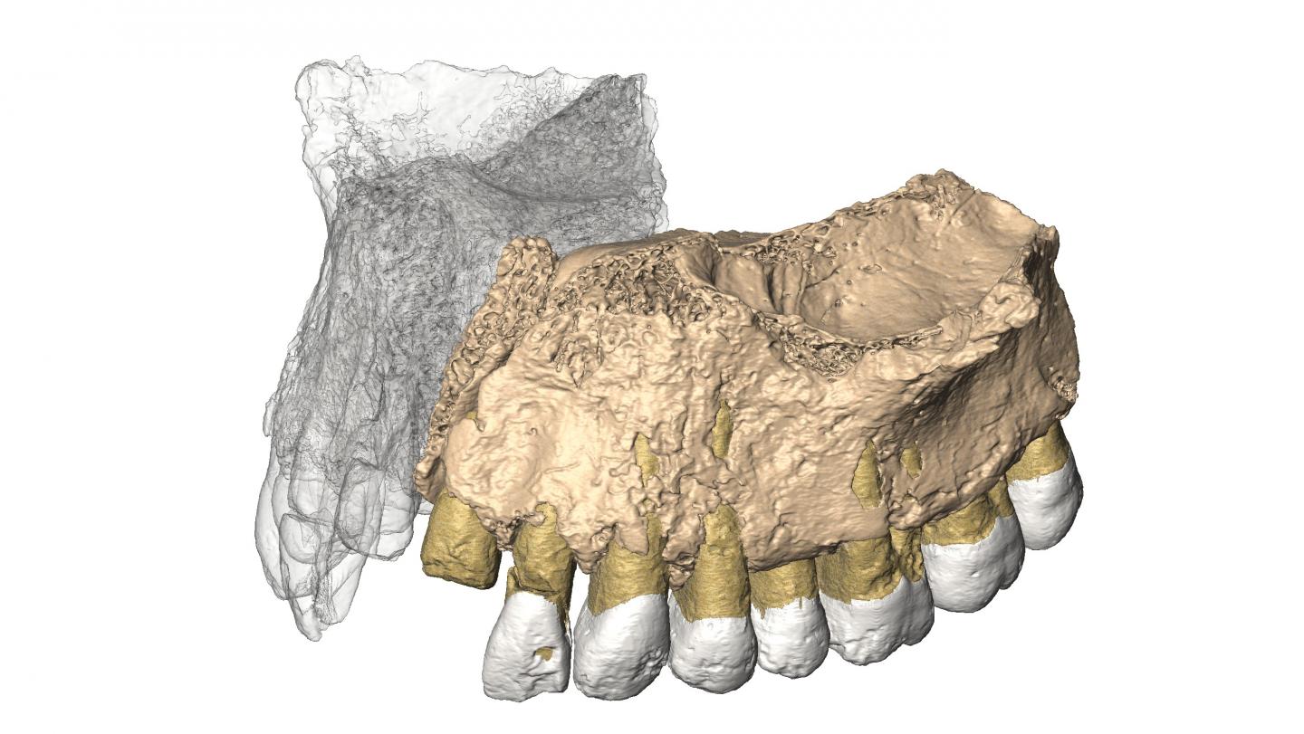 Mass Grave Revealed to be Viking Army Burial - The History News of the Week