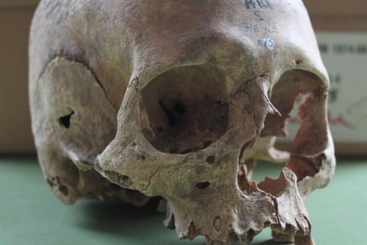 Mass Grave Revealed to be Viking Army Burial - The History News of the Week