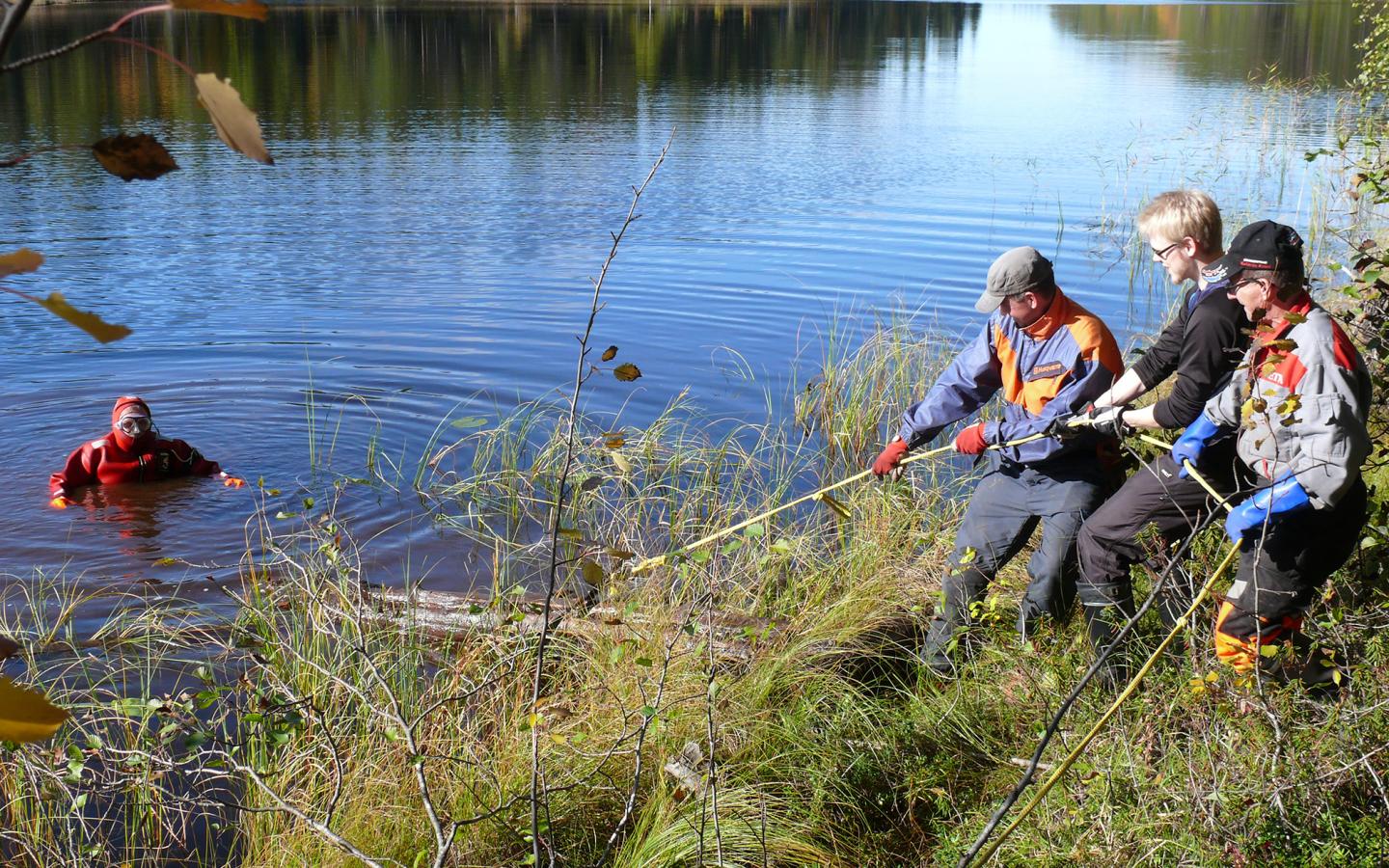 A Subfossil Tree Trunk Being Lifted out of a Lake