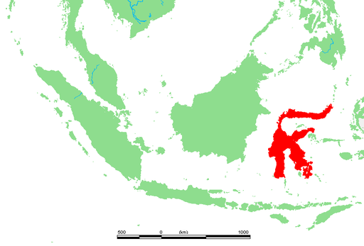 Location of Sulawesi