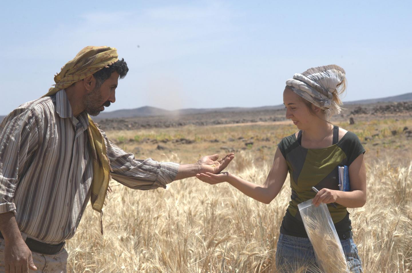 14,400-year-old flatbread proves baking predates agriculture by 4,000 years