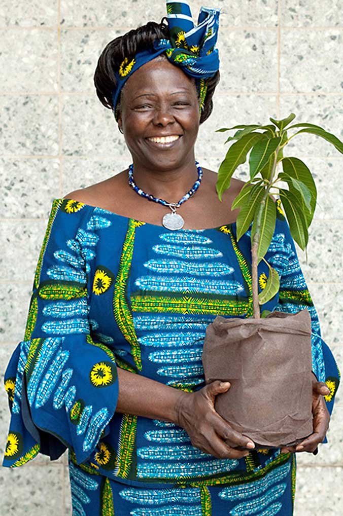 Planting Seeds of Hope: Wangari Maathai, part 2